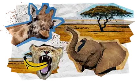 08b Tappe Viaggio DESKTOP Kenya
